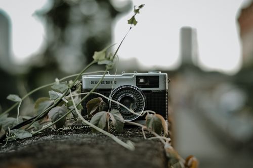 Free Retro camera placed outdoors among green leaves, capturing a nostalgic vibe. Stock Photo