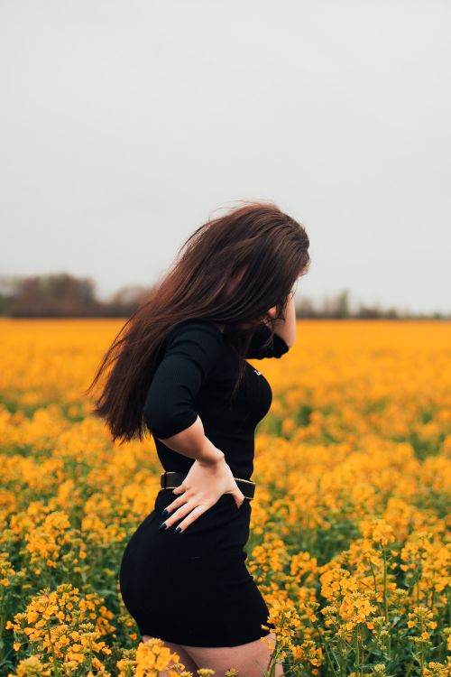 Free Woman posing in a field of yellow flowers, hand on waist, wearing a black dress. Stock Photo