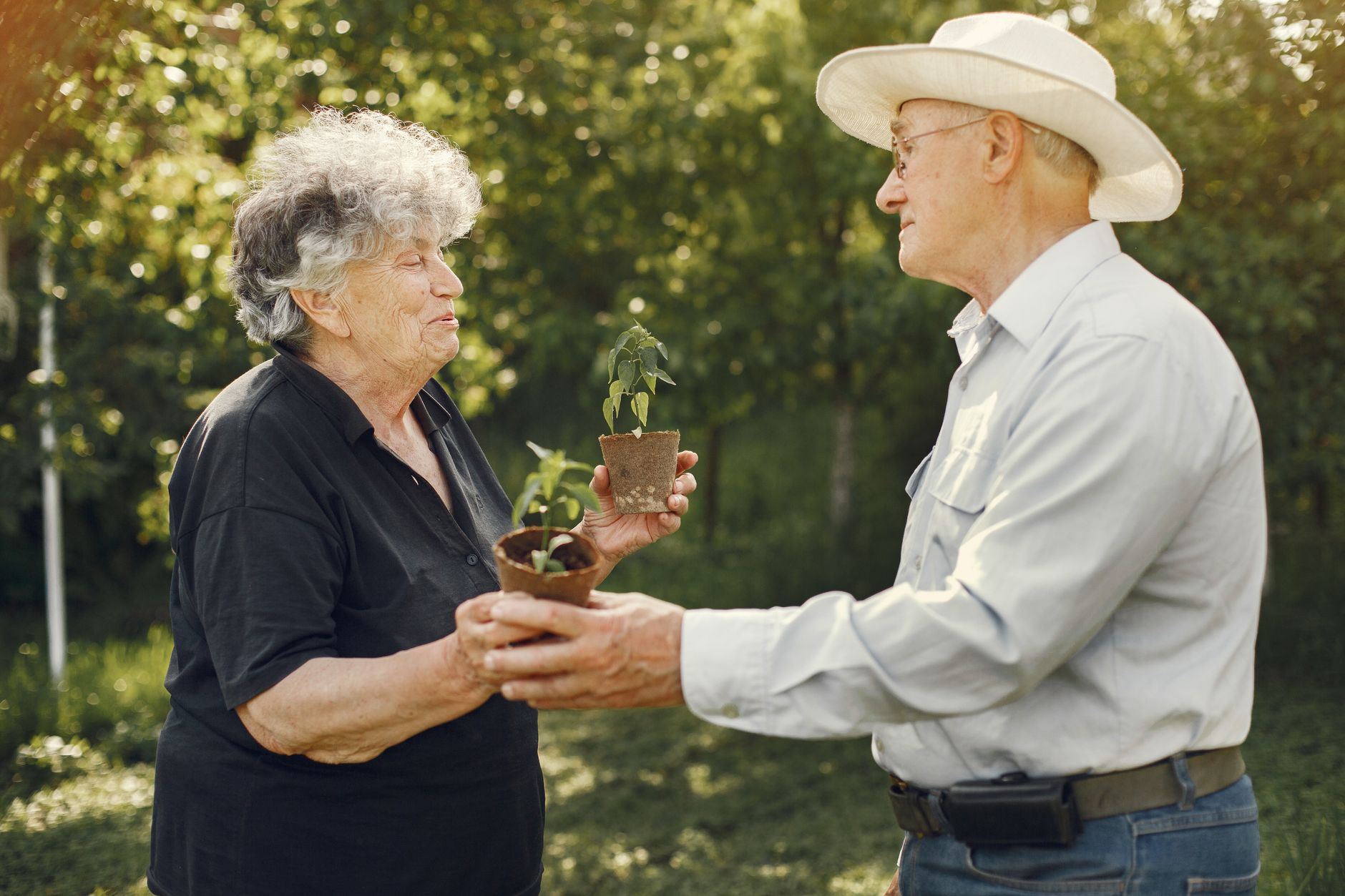 Senior couple exchanging potted plants in a sunny garden.