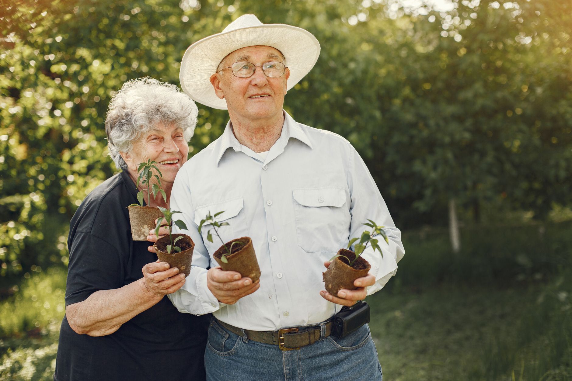 Happy senior couple enjoying gardening with potted plants in a sunny outdoor setting.