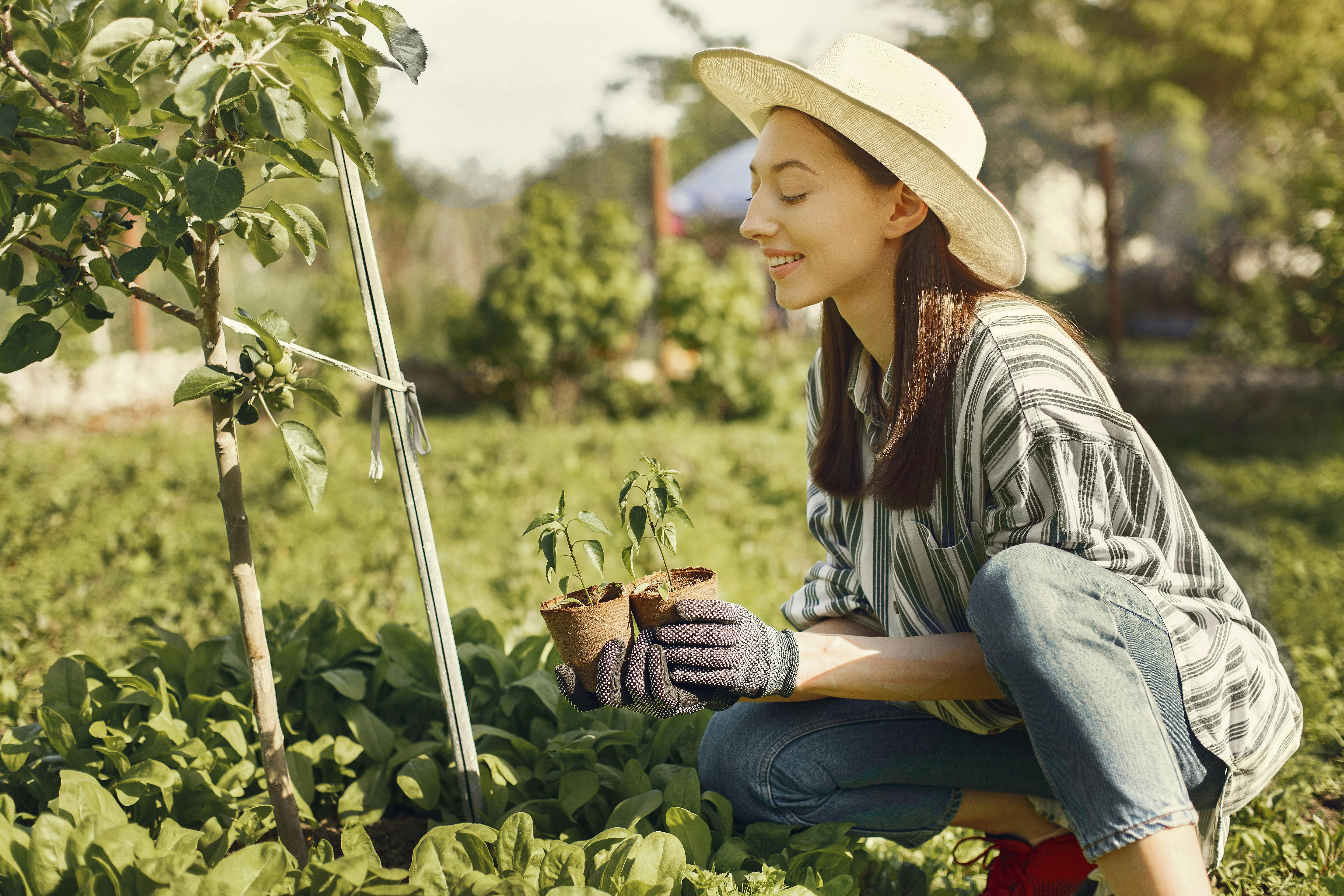 Woman gardening outdoors, holding potted plants, wearing hat and gloves.