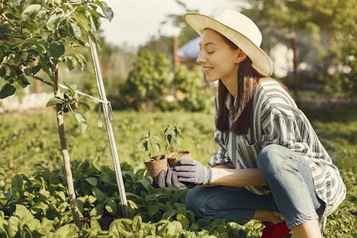 Free Woman in Denim Jeans and Hat Gardening Stock Photo