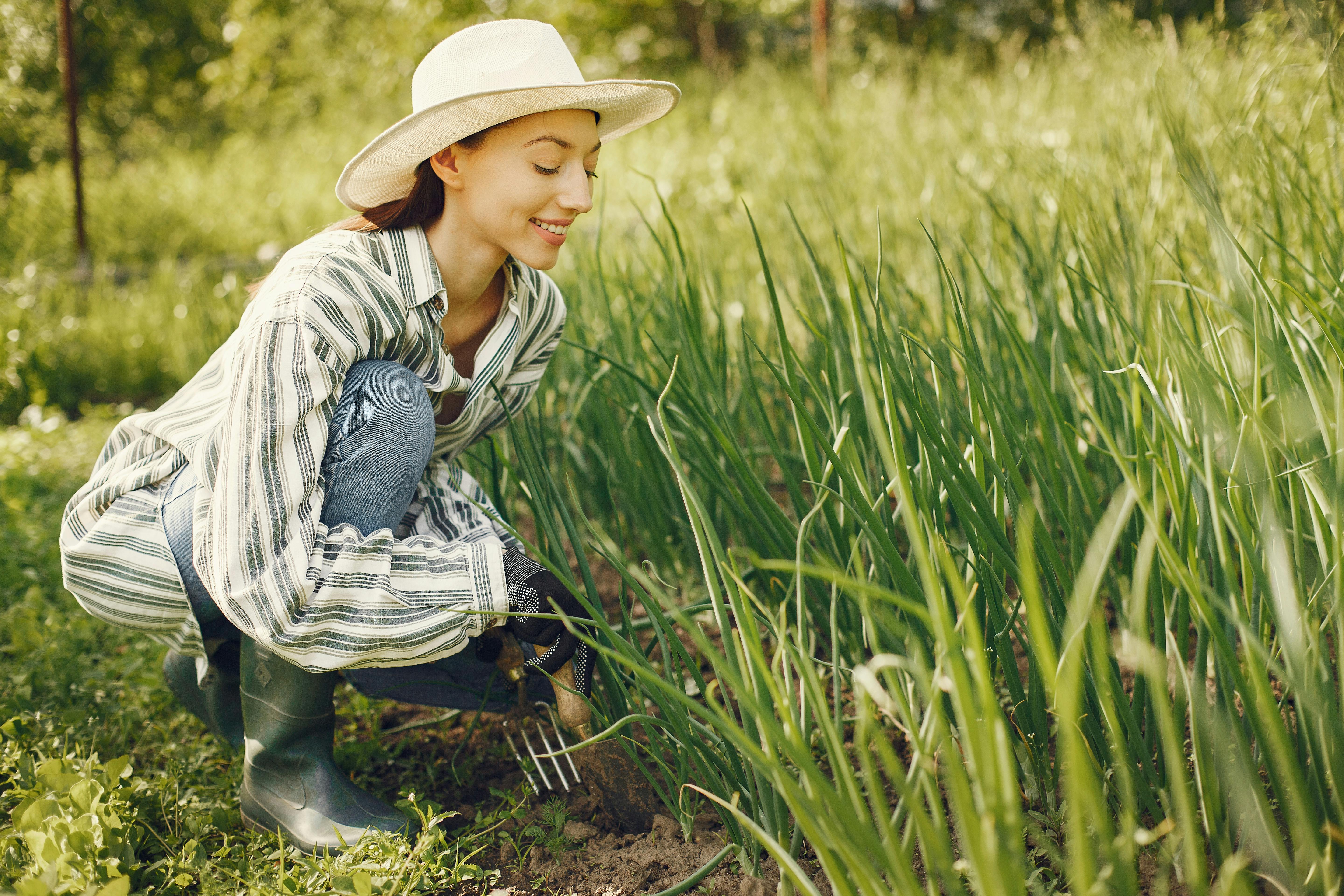 Foto de stock gratuita sobre césped, hierba, planta