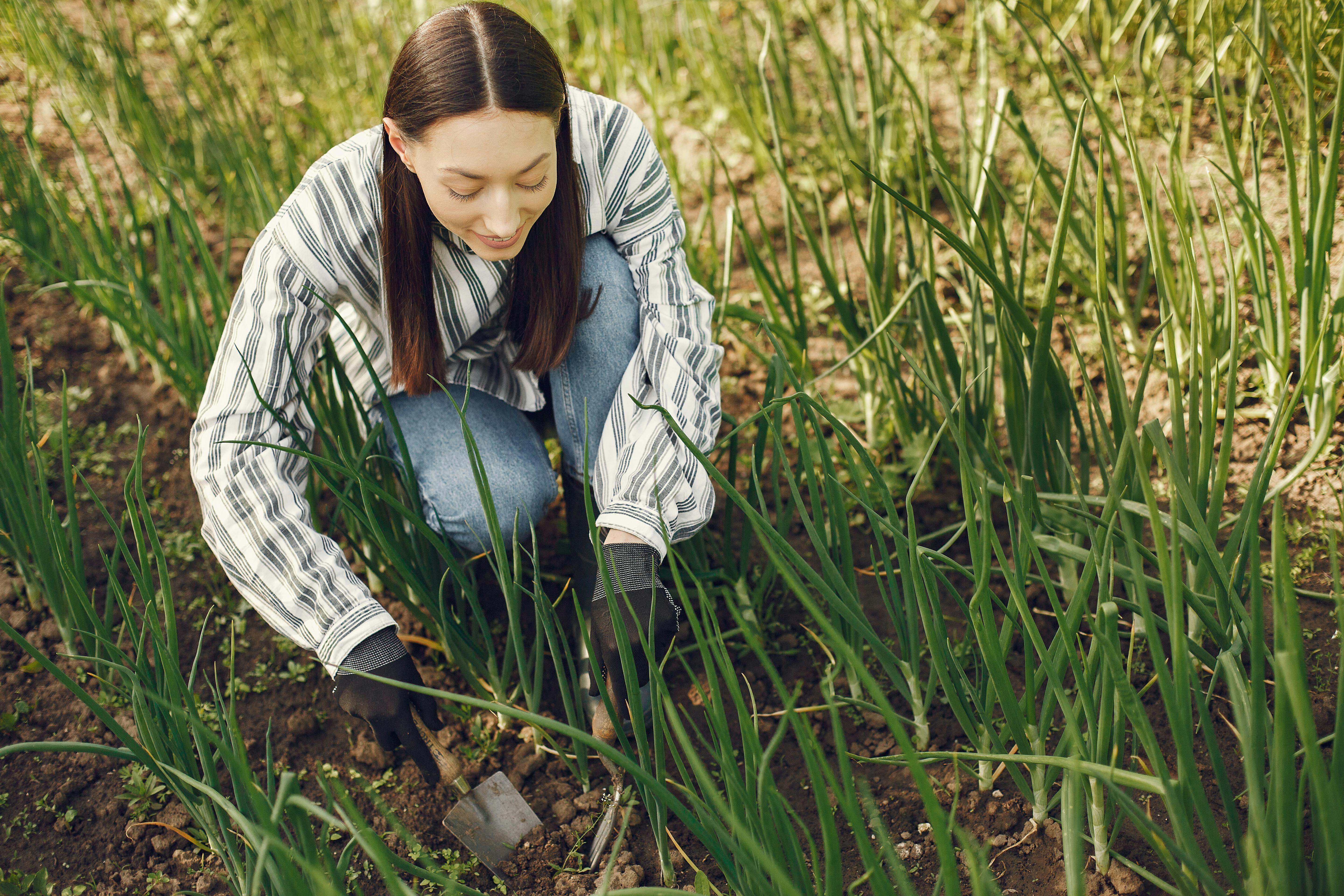 11 Best Amazon Gardening Tools You Can Snag For Under $20 — Photo by Gustavo Fring on Pexels