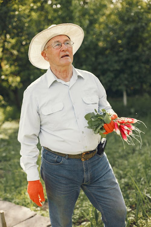 Imagine de stoc gratuită din activități agricole, în vârstă, om