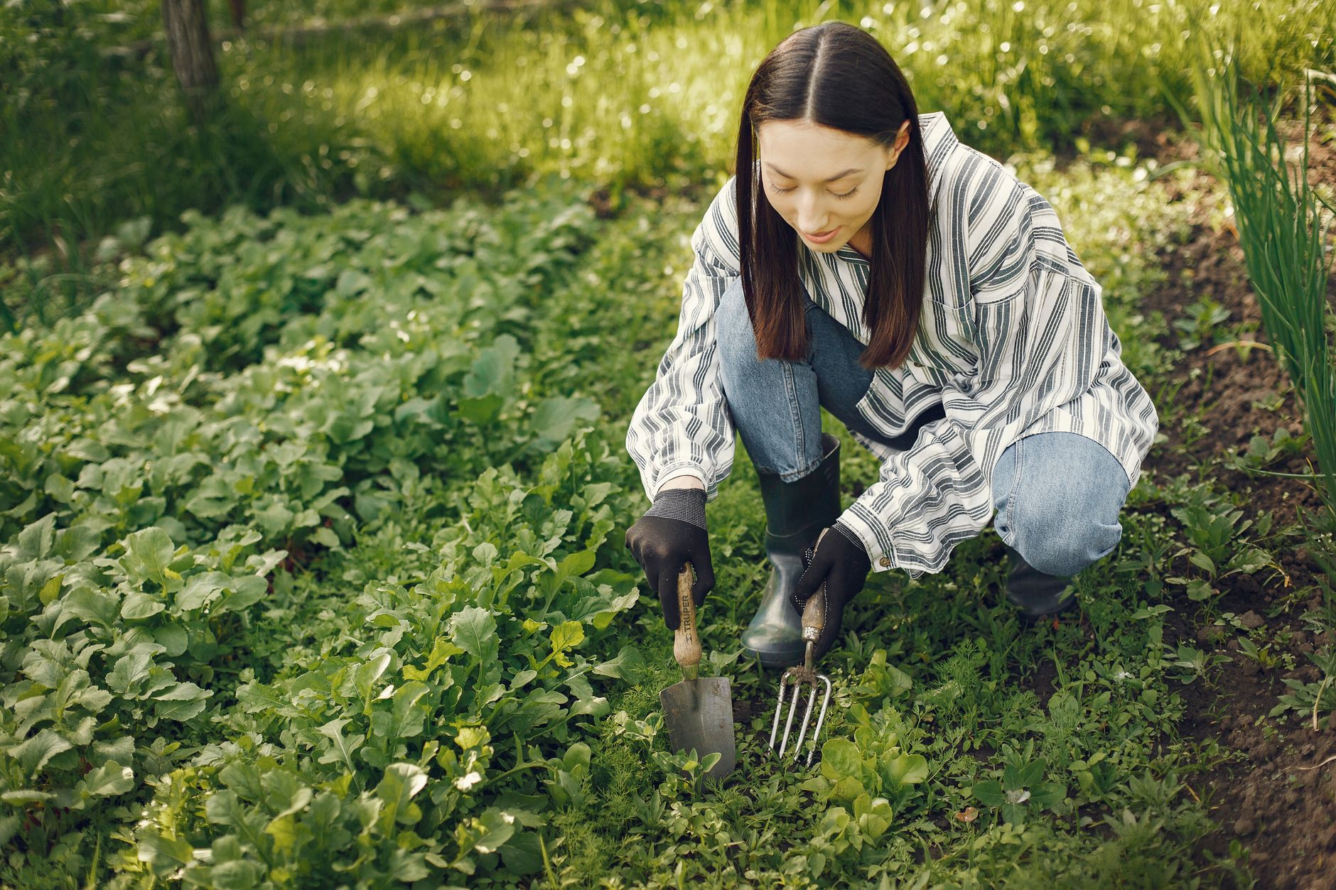 Clean Garden Tools Assortment of well-maintained, clean gardening tools, including hand pruners and trowel, resting on rich soil