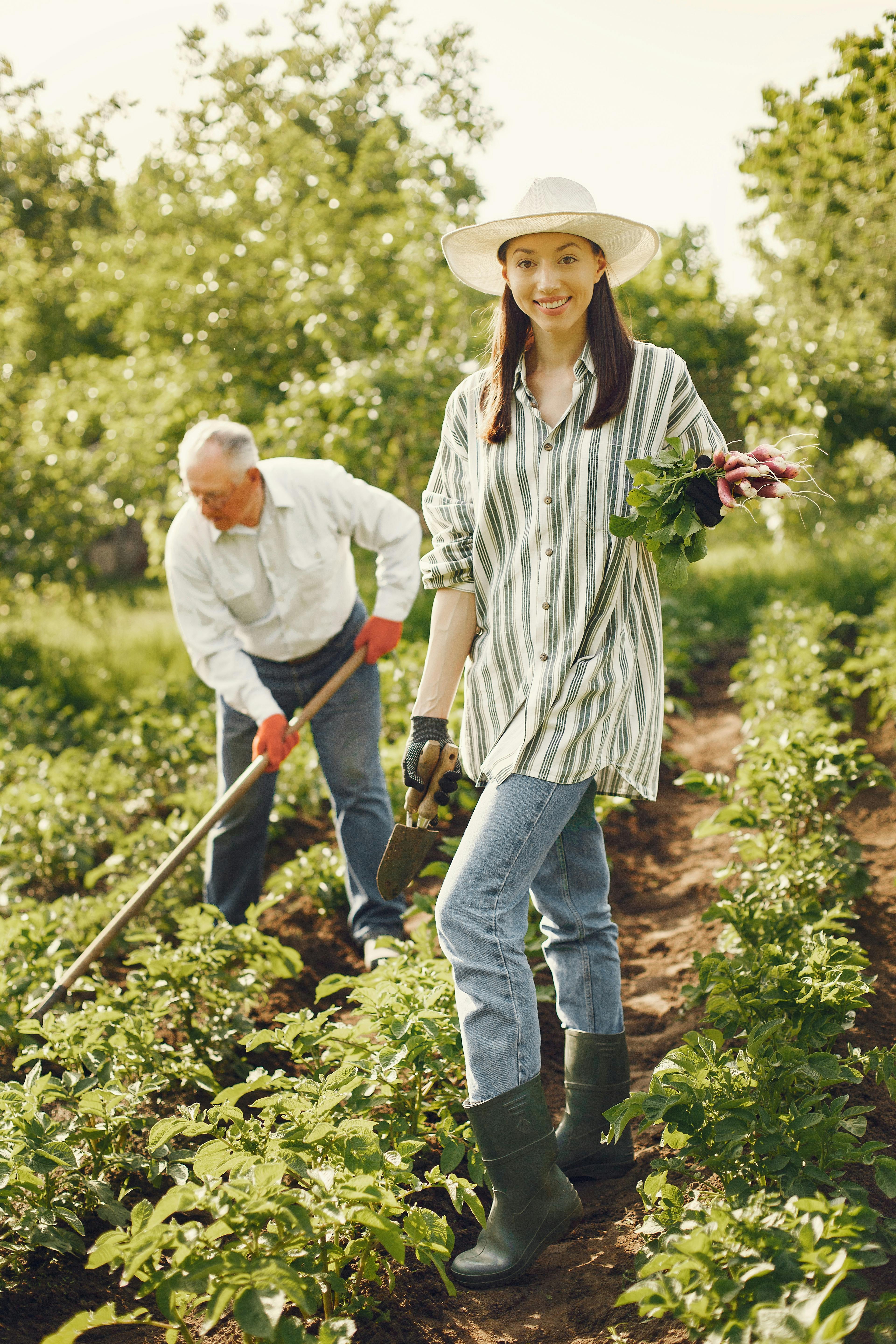 A happy couple working together in their lush green garden, enjoying the outdoors and nurturing plants.