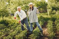Father And Daughter Gardening Outdoors