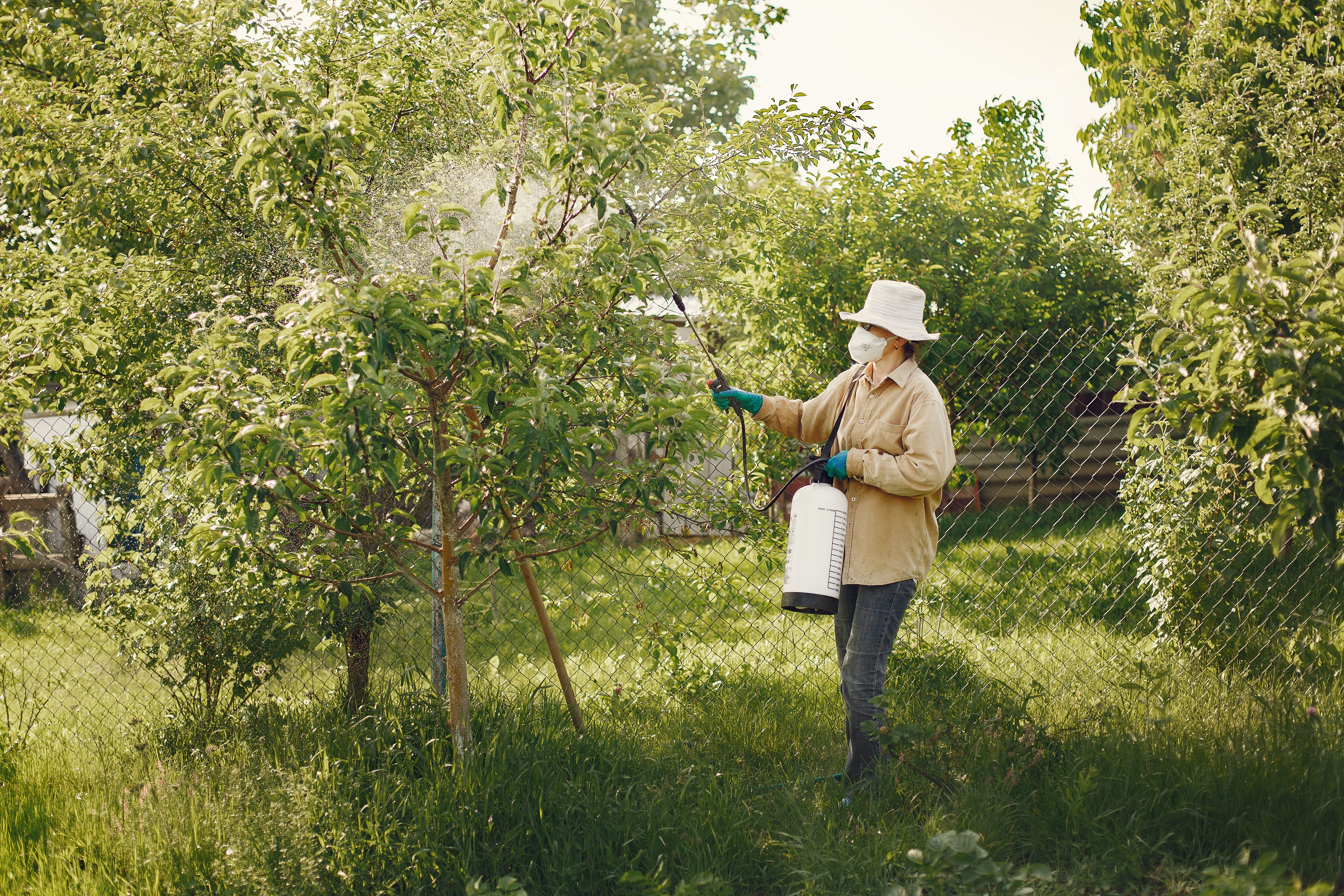Mosquito and tick control service