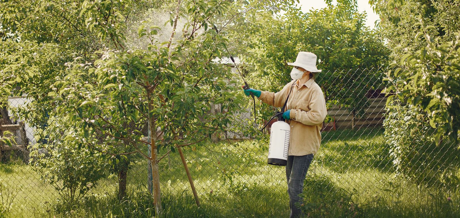 Person in a mask spraying trees in a yard