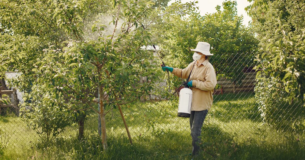 Pest Control services in Florida
