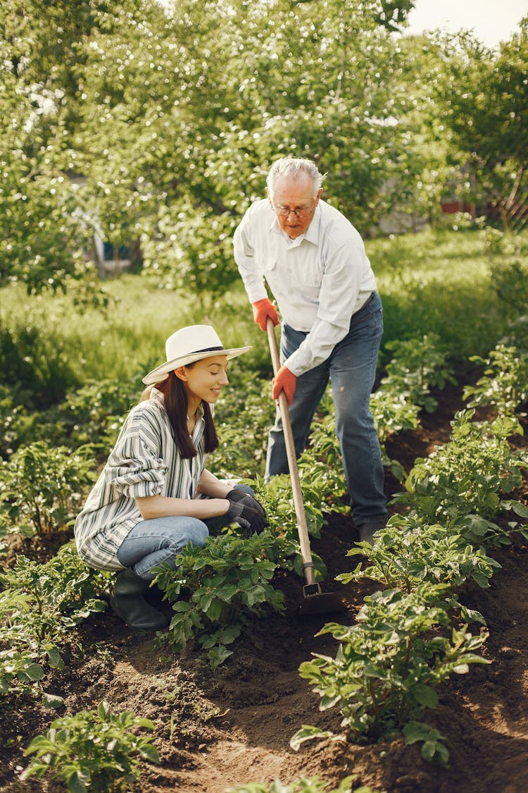 Young Woman Helping Old Man With Farming