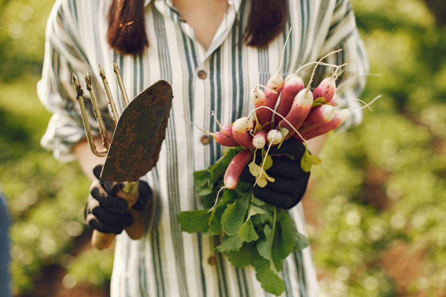 Spring Harvest Photos, Download The BEST Free Spring Harvest Stock ...