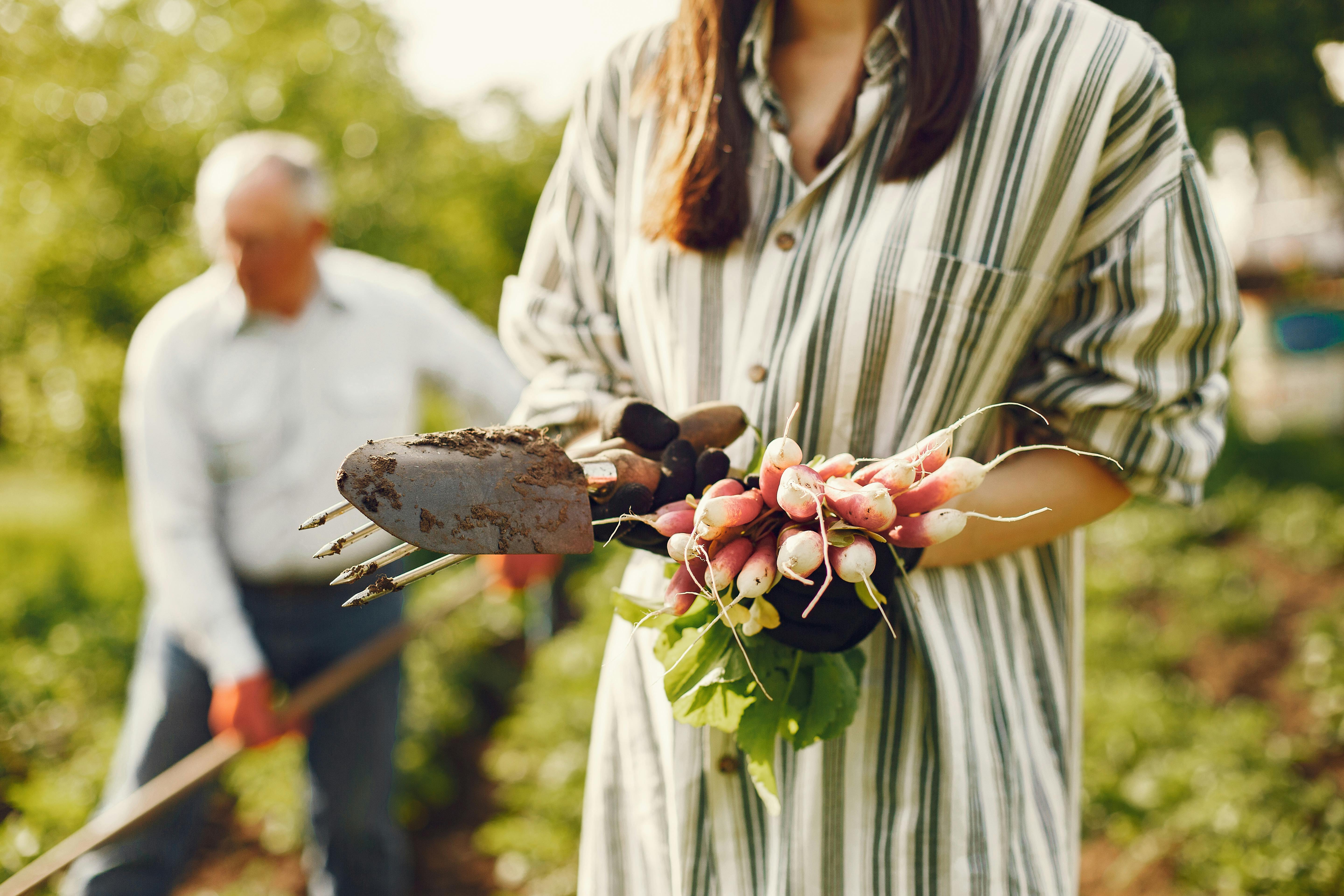 11 Best Amazon Gardening Tools You Can Snag For Under $20 — Photo by Gustavo Fring on Pexels