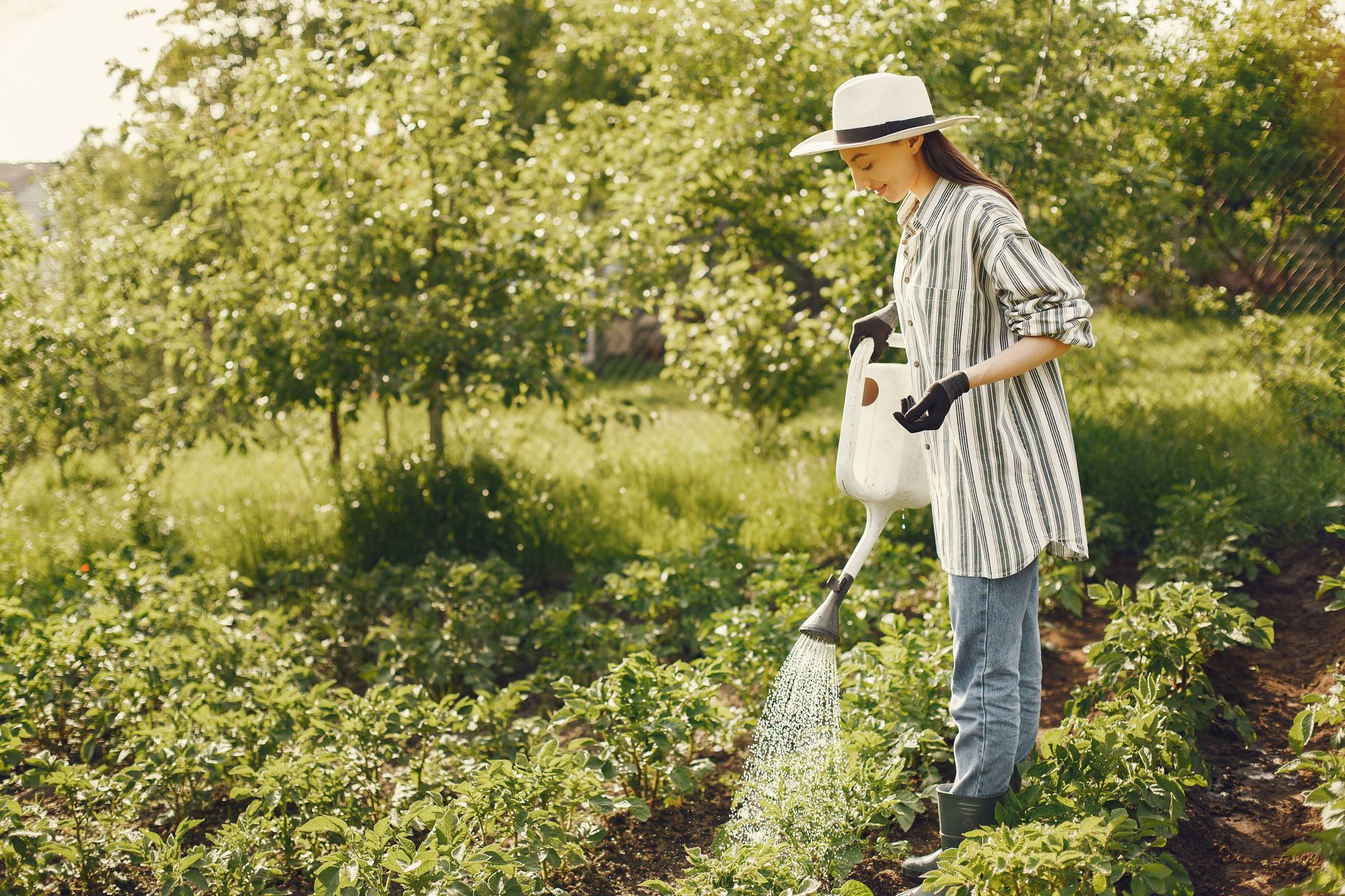 A woman waters plants in a sunny, vibrant garden, embodying home gardening and sustainability.