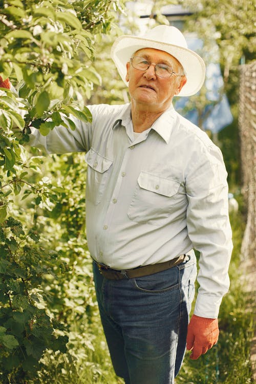 Free Man In White Dress Shirt And Blue Denim Jeans Standing Near Green Plants Stock Photo