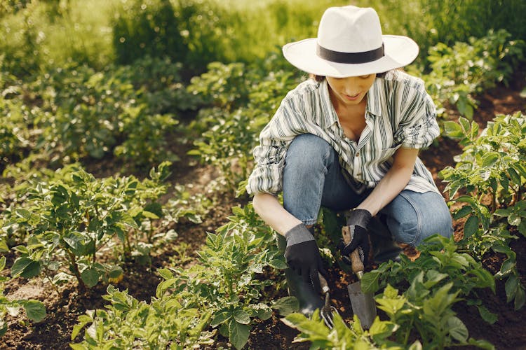 Young Woman Working In Garden