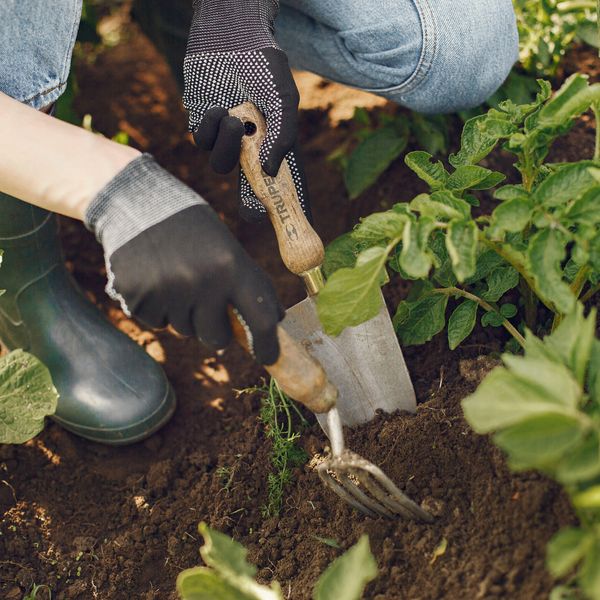 Garden Hand Fork