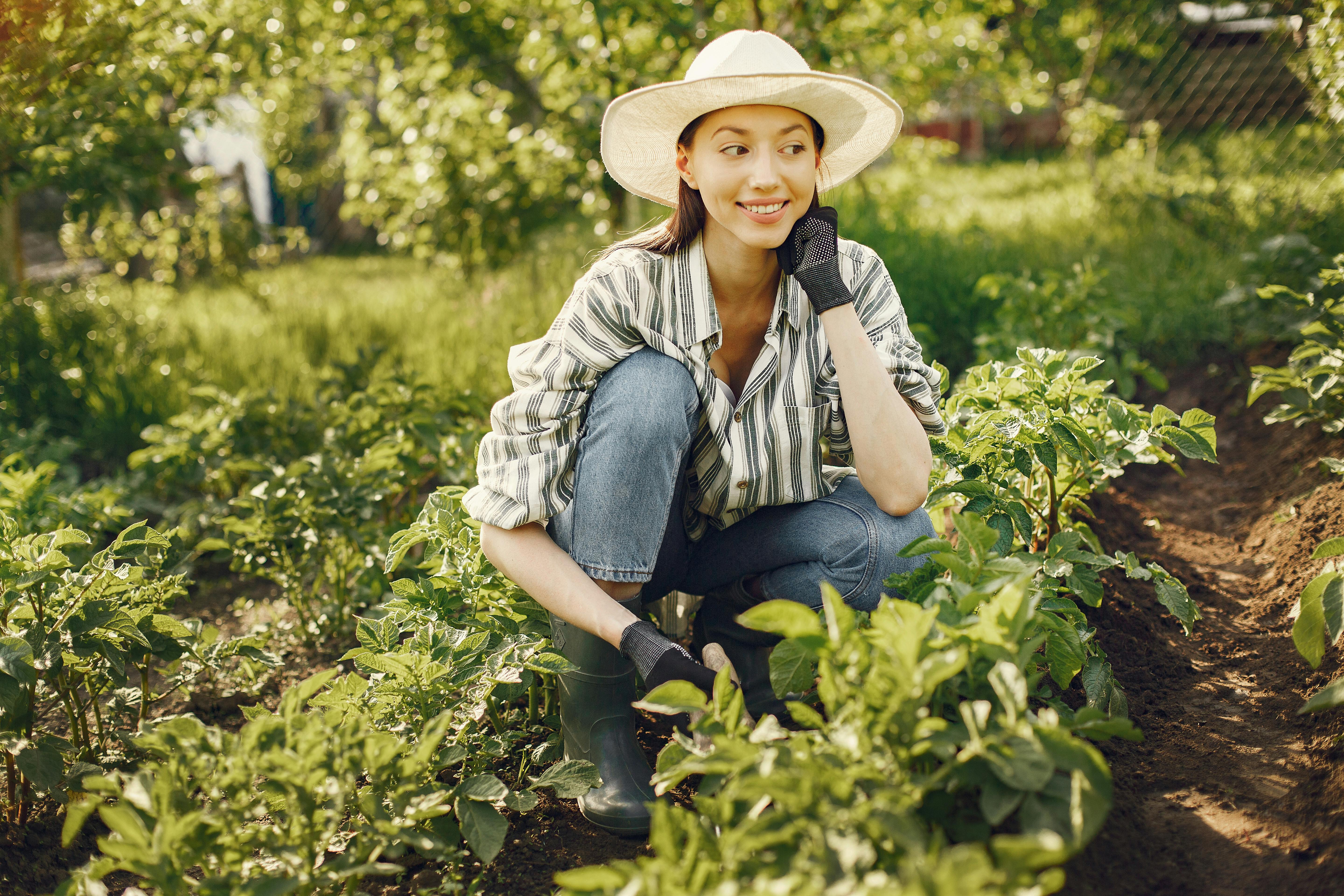 gardening hoe — Photo by Gustavo Fring on Pexels