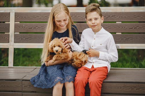 Photo of a Boy and a Girl Petting a Toy Poodle