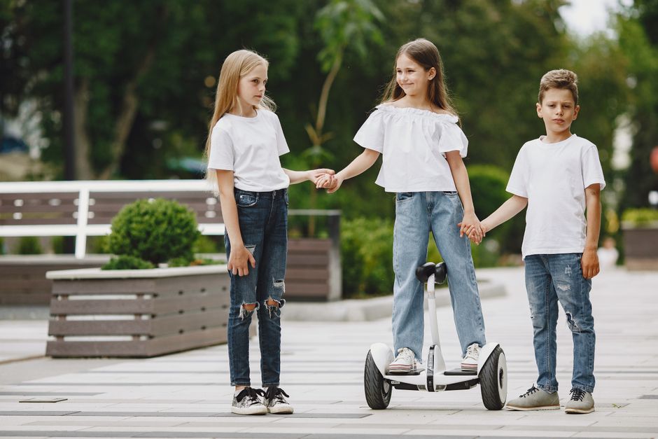 Hoverboard (Premium, Segway Ninebot S2)