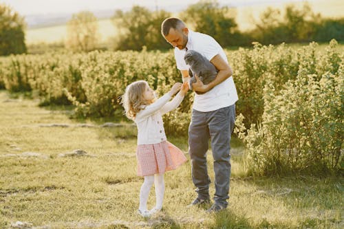 Girl Reaching Her Hands Out to Hold Cat