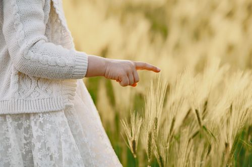 Free A child's hand gently touching wheat in a sunny field, representing innocence and nature. Stock Photo