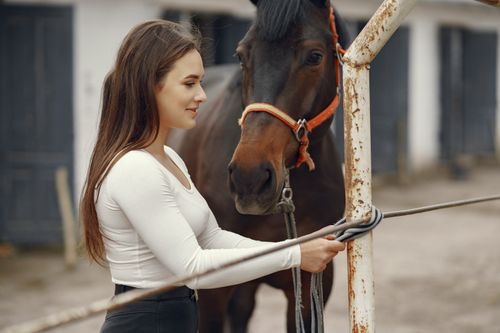 Free Young woman tying a horse to a steel bar outdoors, side view, smiling. Stock Photo