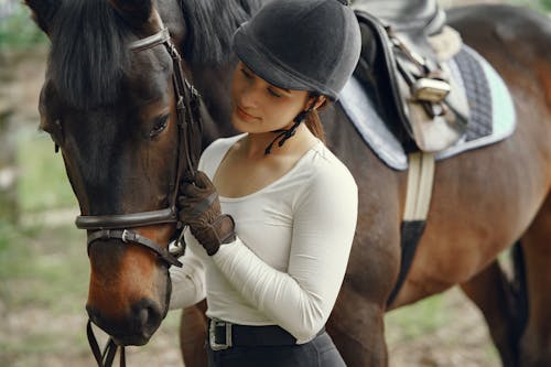 Gratis arkivbilde med bissel, hest, holde