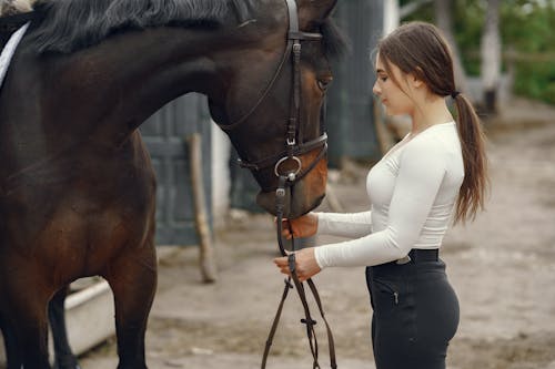 Gratis stockfoto met band, jong, mevrouw