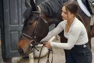 A Young Woman Detaching the Strap of Bridle on a Horse's Head