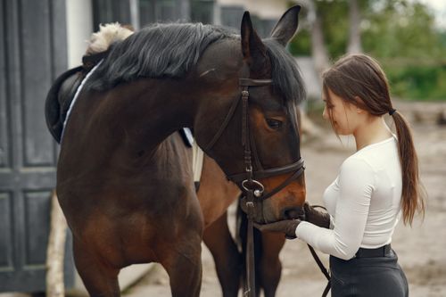 Free A young woman connects with a horse in a stable setting, creating a calm interaction. Stock Photo