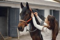 A Young Woman Holding the Bridle Strap on the Horses' Head