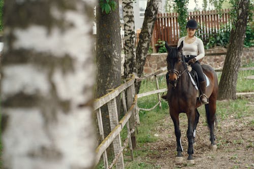Δωρεάν στοκ φωτογραφιών με άλογο, αναβάτης, γυναίκα