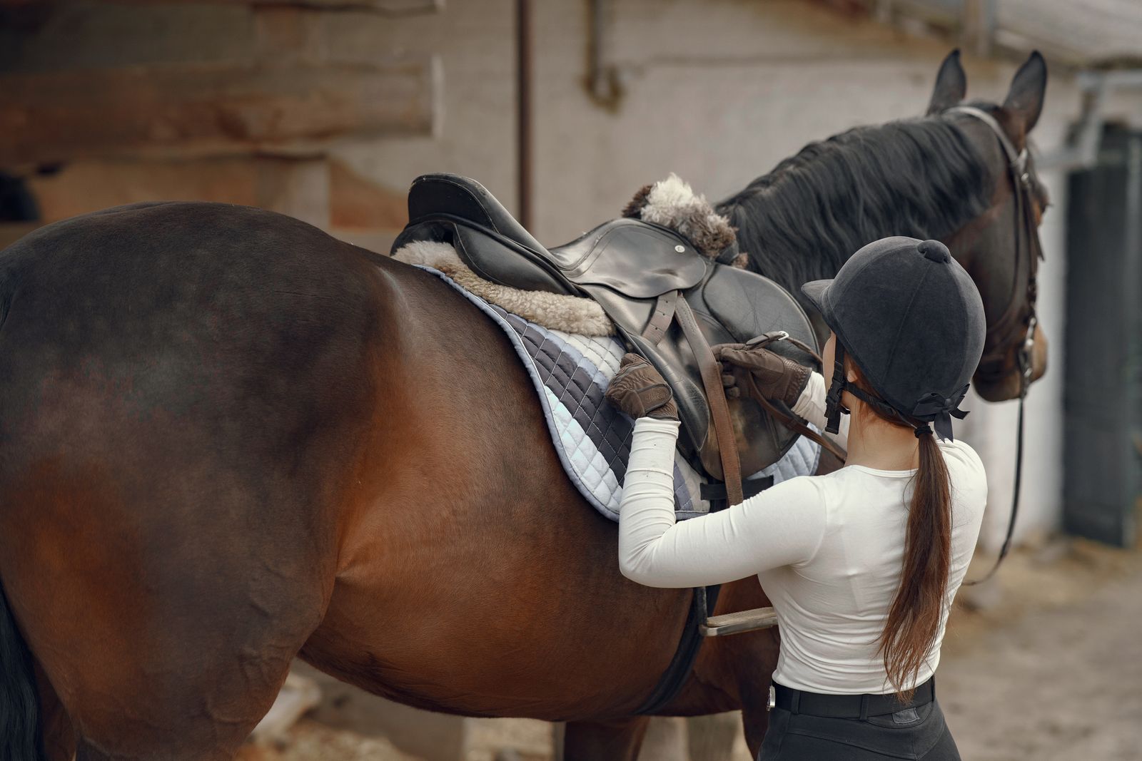Horse Care & Handling Course