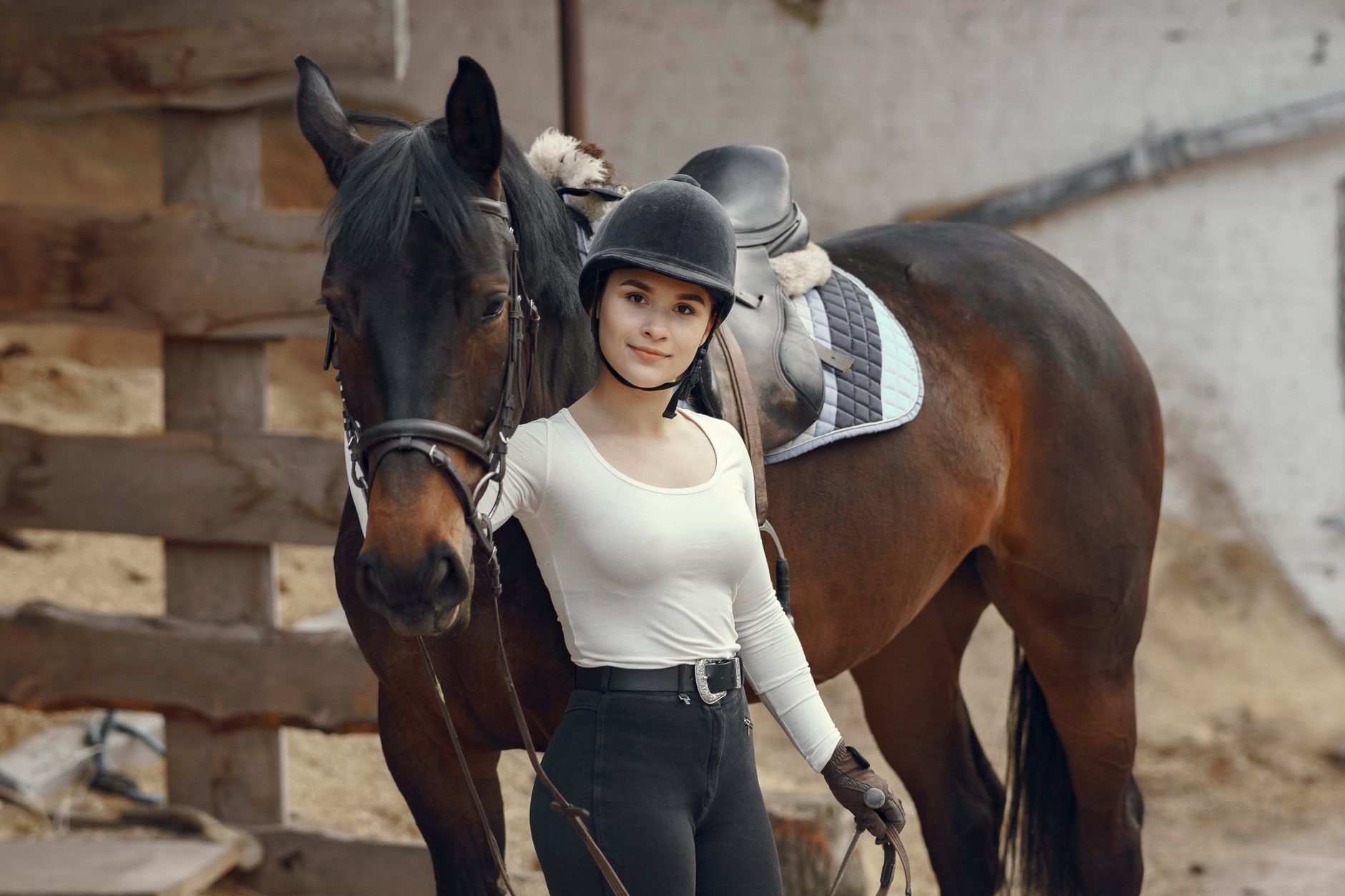 Ranch équestre