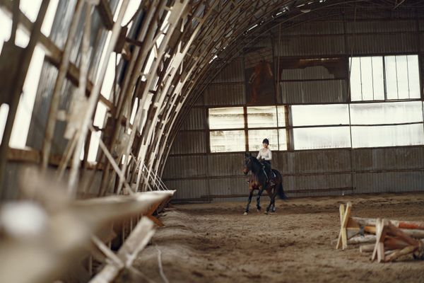 Dressage horse performing in an indoor riding arena