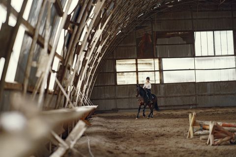 Artwork for Overcoming Self-Doubt Through Mental Resilience: Lessons From Horses with Silvia Rizzo
