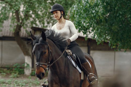 Bezpłatne Darmowe zdjęcie z galerii z kobieta, koń, koniowate Zdjęcie z galerii