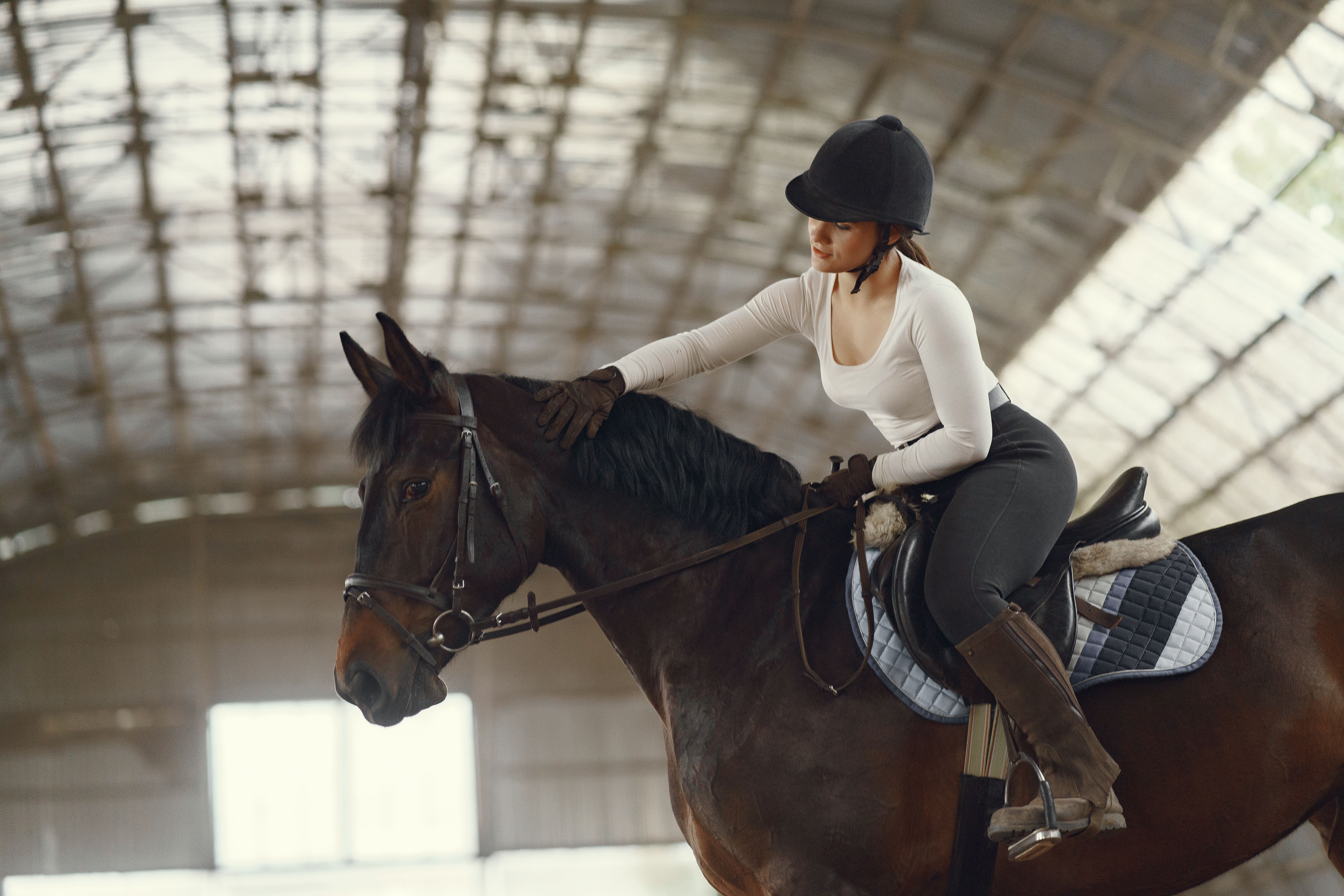 Horse Care 101: What Every New Equestrian Parent Needs to Know