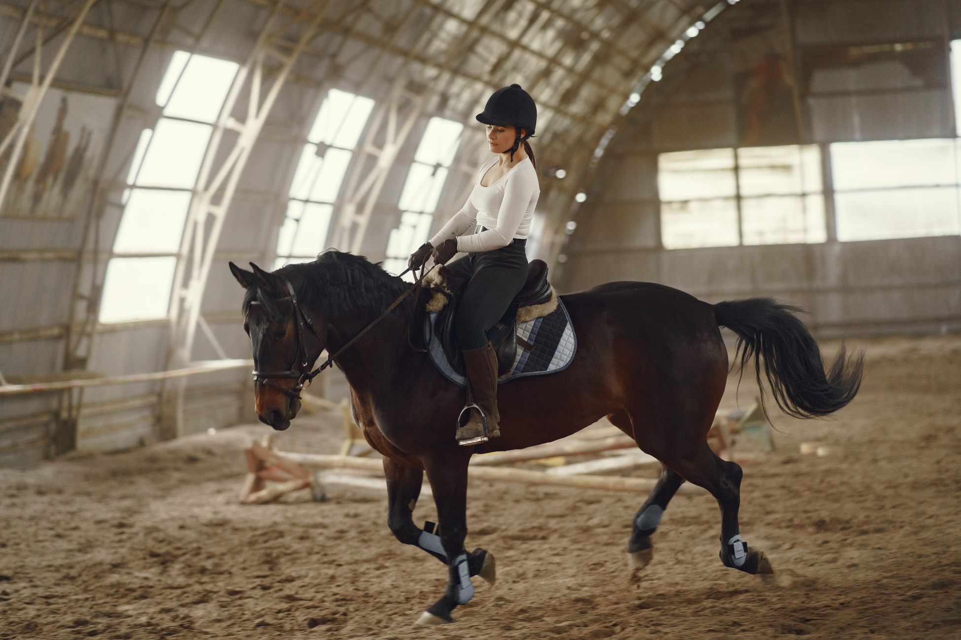 Teen Allegedly Injures Three Horses at Equestrian Competition