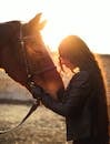 Side view of content female embracing harnessed horse in rural pasture in back lit