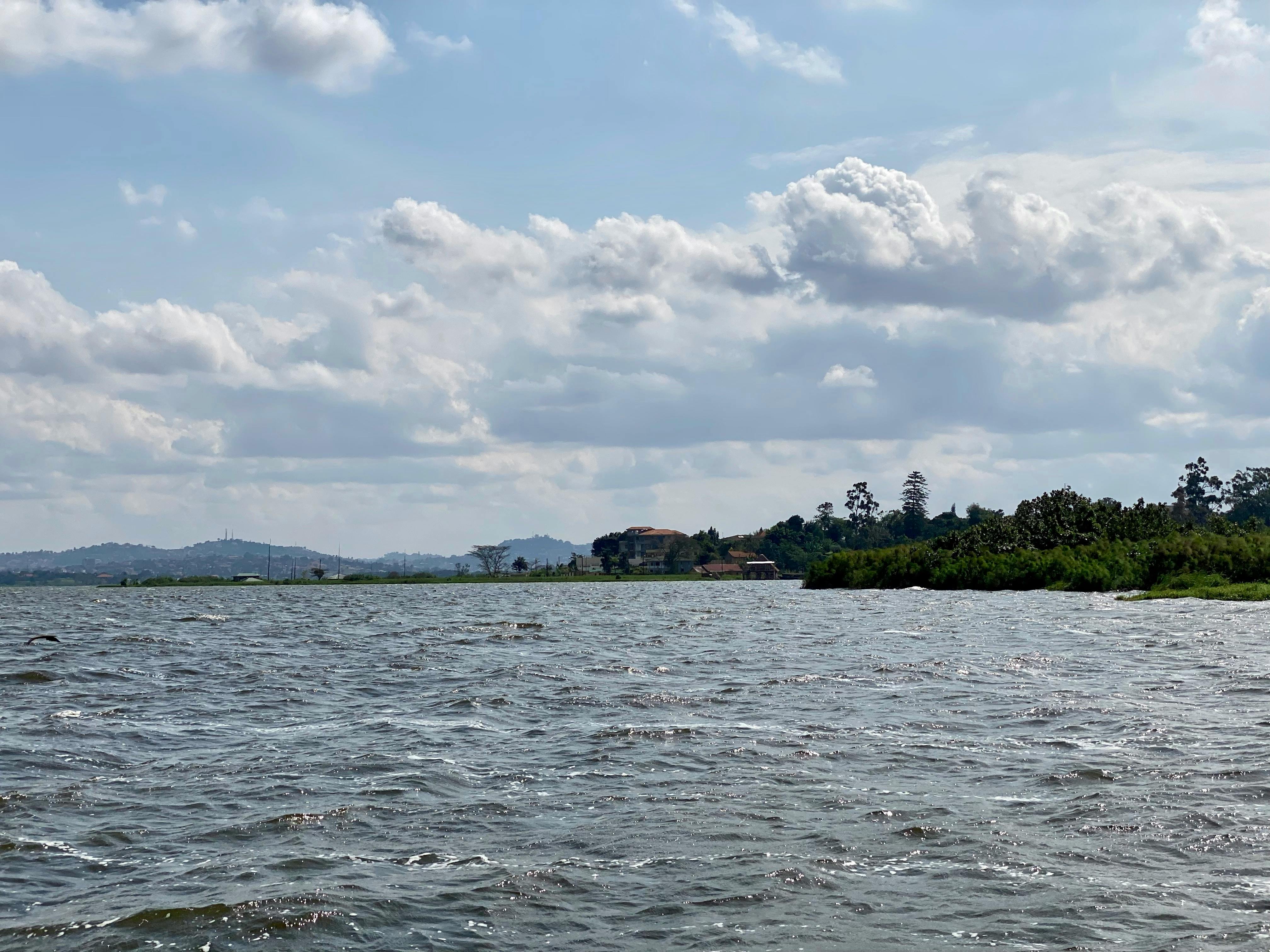 奥地利队进攻端配合