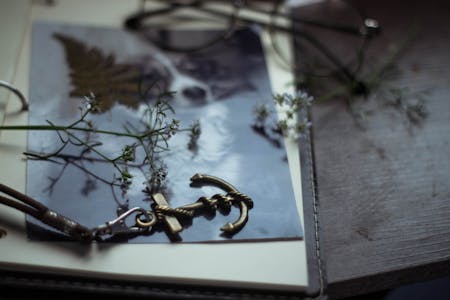 blog article feature image