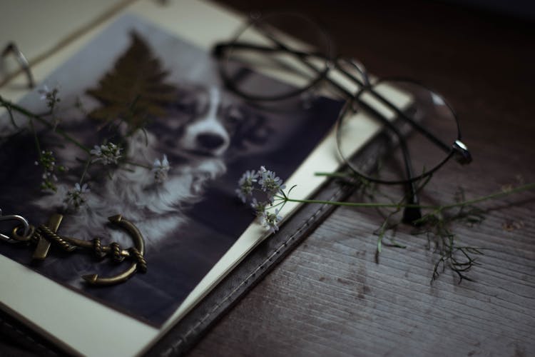 Opened Diary With Dog Photo Eyeglasses And White Flowers