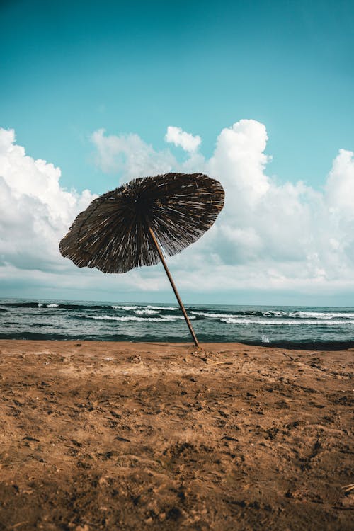 Lonely parasol on beach near sea