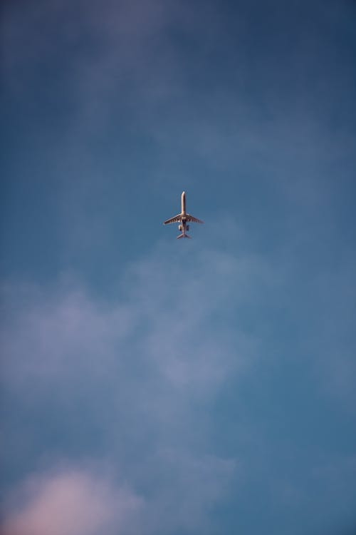 Gratis lagerfoto af fly, flyve, flyvemaskine