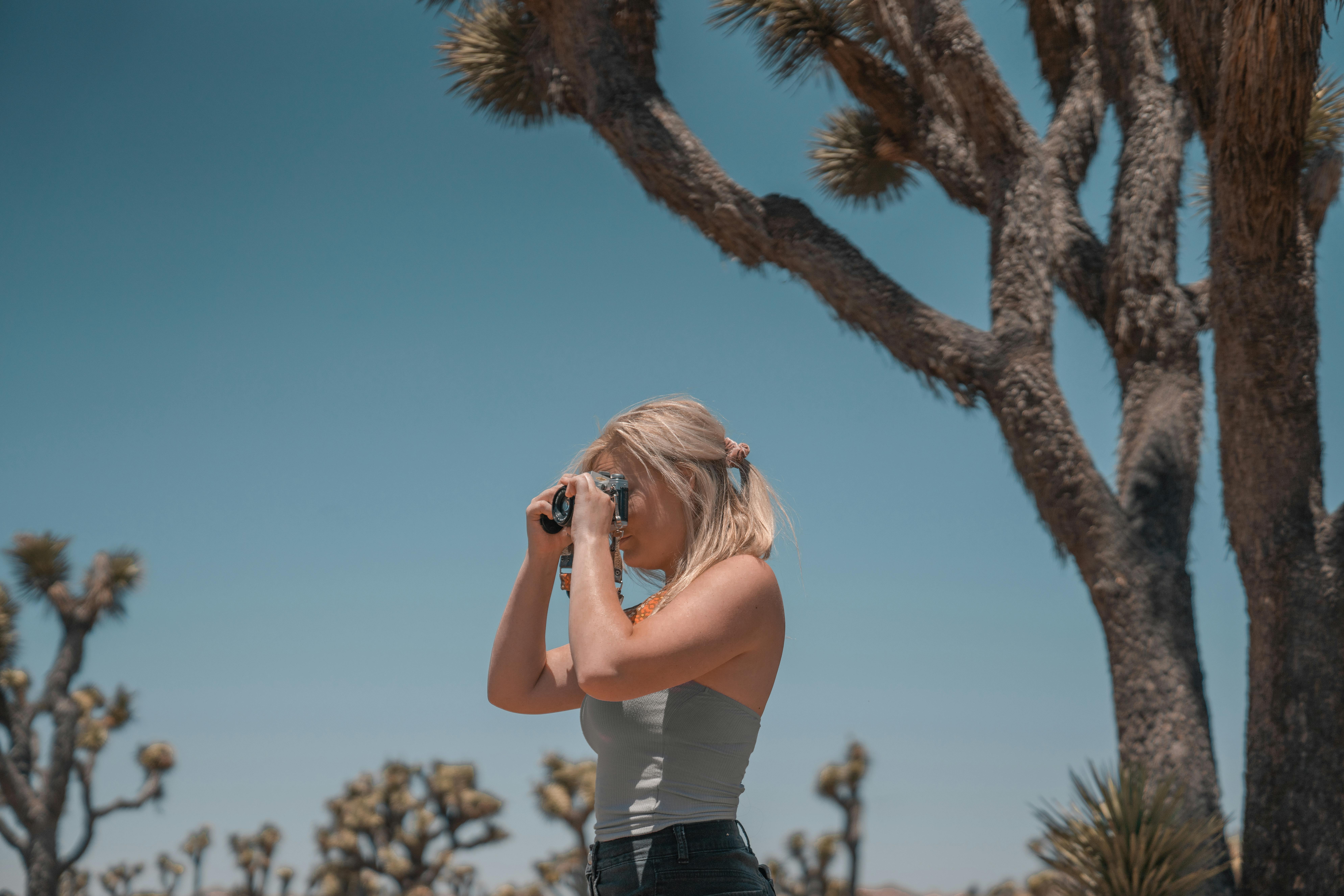 Woman photographing Joshua Trees in California's wilderness with clear blue sky.