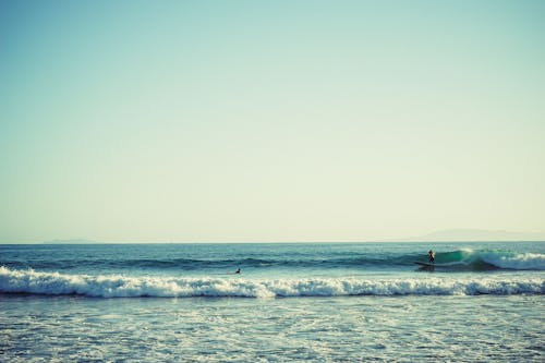 Kostenloses Stock Foto zu meer, strand, surfen