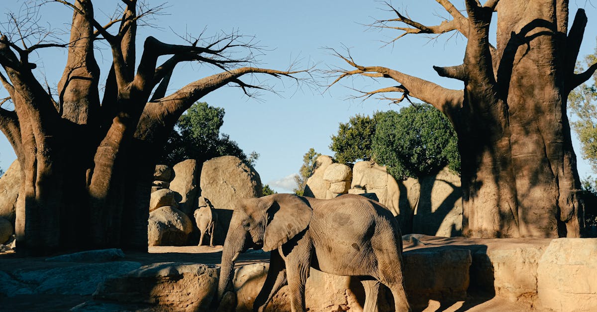 The Fractured Mind 1 image text